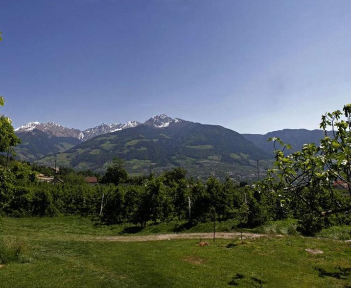 Residence Streitlhof Tirol Buitenkant foto